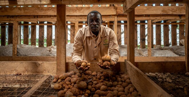 The Risk of One Potato: Shangi and the Challenge of Diversity in Kenya