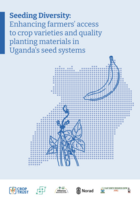 Seeding diversity: Enhancing farmers’ access to crop varieties and quality planting materials in Uganda’s seed systems