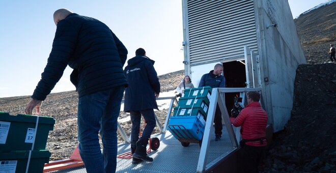 Svalbard Global Seed Vault Crosses Major Milestone - 1.4 Million Seed Samples Secured