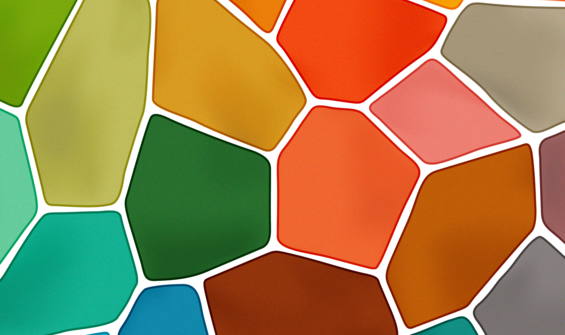 The Biodiversity Plan