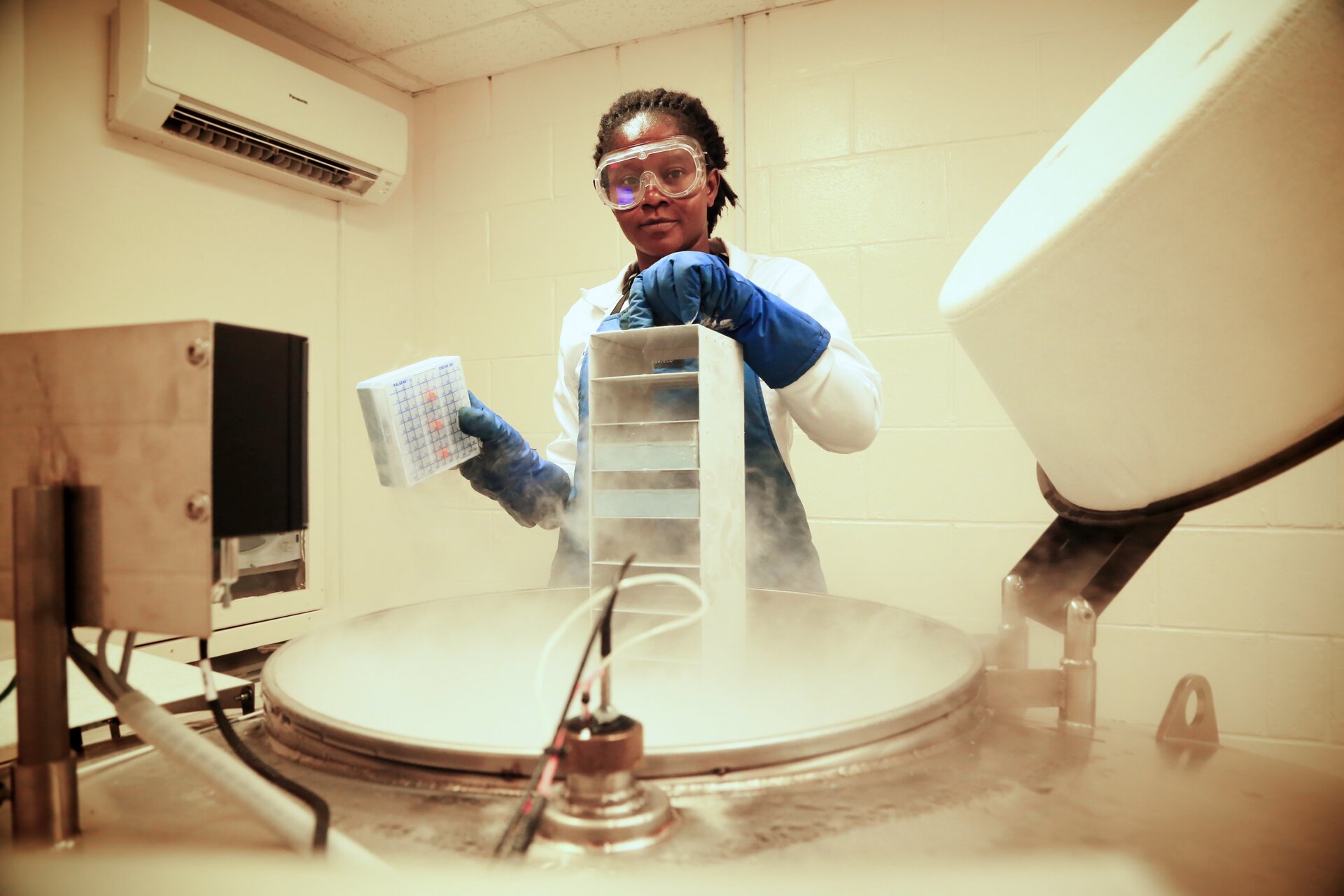 Genebank scientist in cryopreservation lab