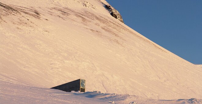 The entrance to the Svalbard Global Seed Vault emerges from the mountainside. Photo: Mari Tefre/Crop Trust