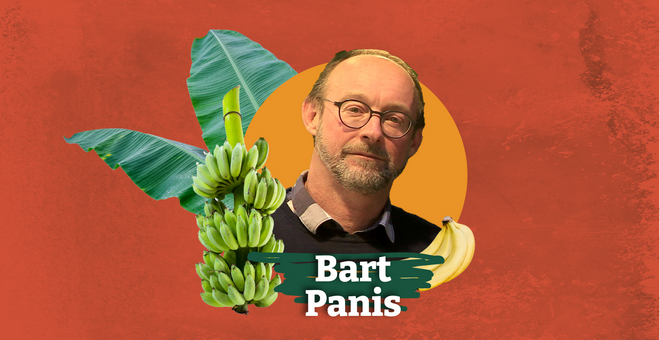 Bart Panis: Cryobank Scientist With a Marathon Vision for the Future of Bananas