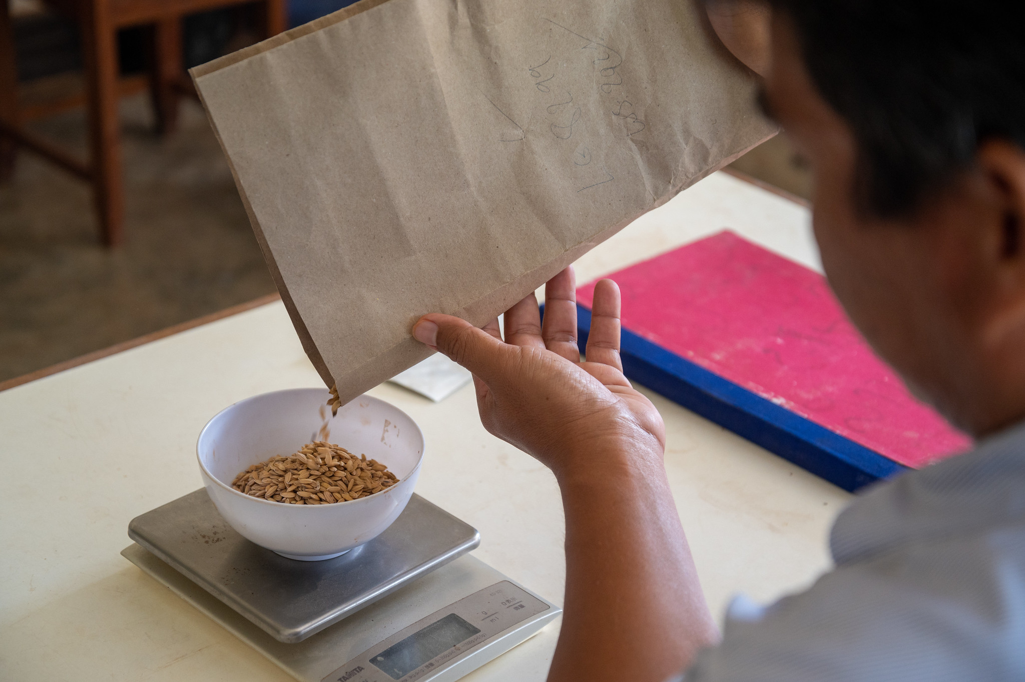 Seed Conservation