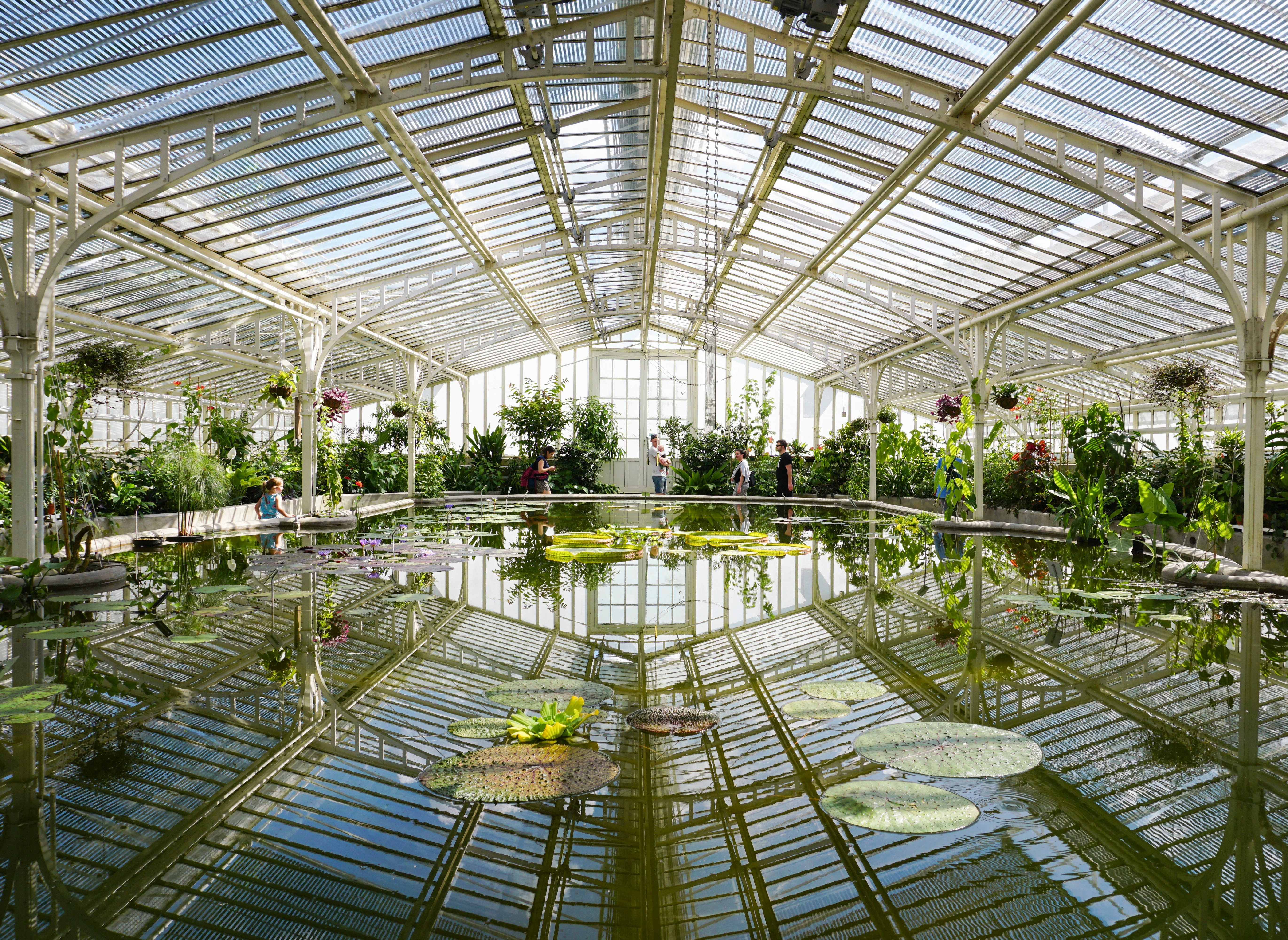 Defining a Botanic Garden